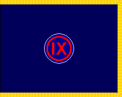 [9th Army Regional Support Command Colors]